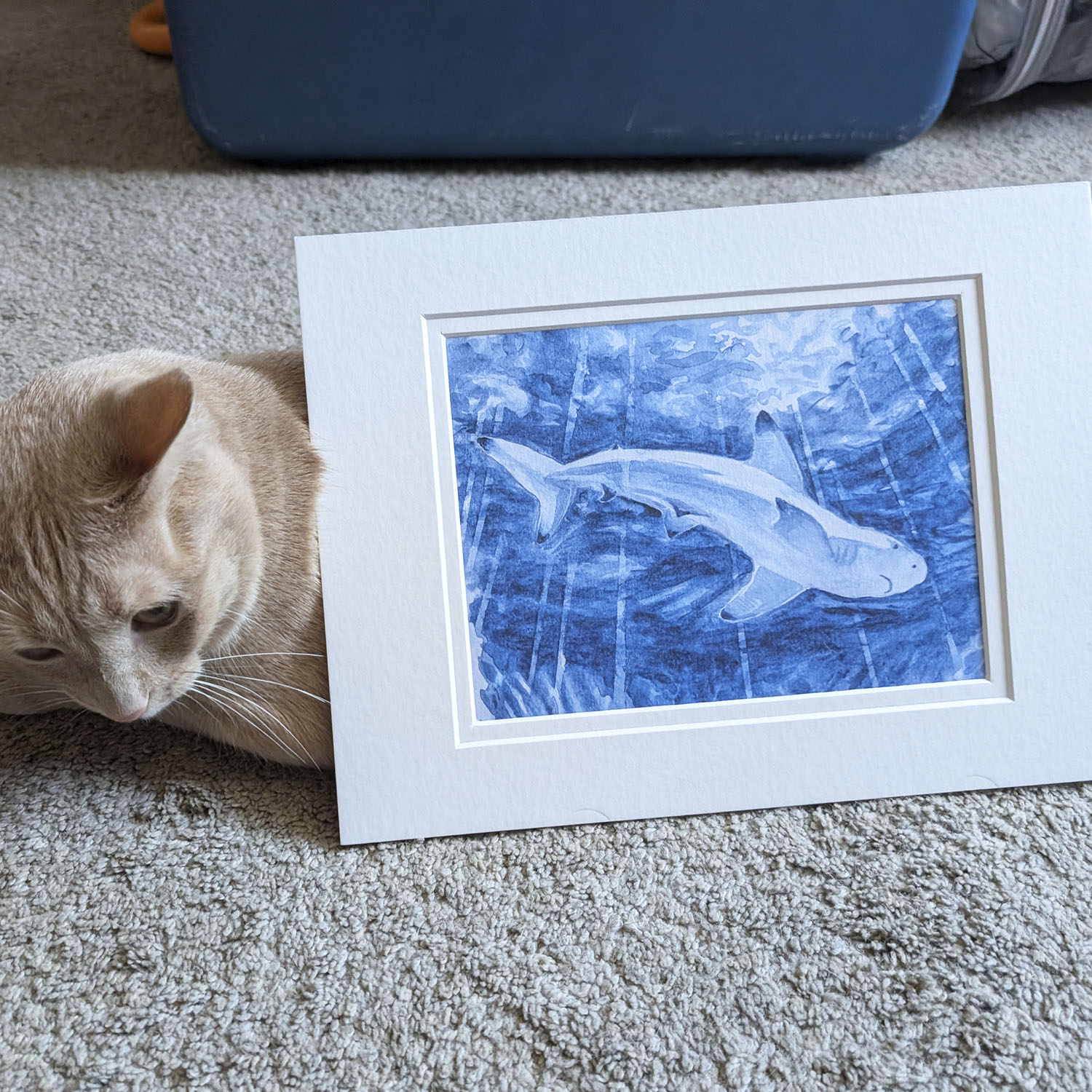 Shark Painting